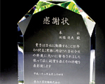 クリスタル楯