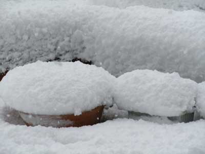 雪
