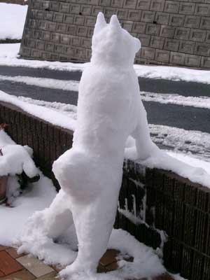 雪