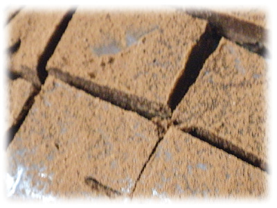 チョコ