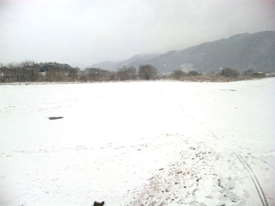 冬