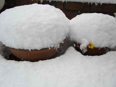 雪
