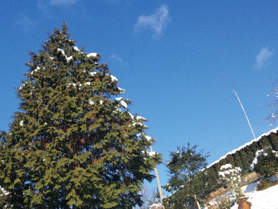 新年の青空