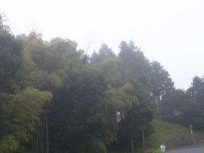 霧