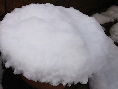 雪