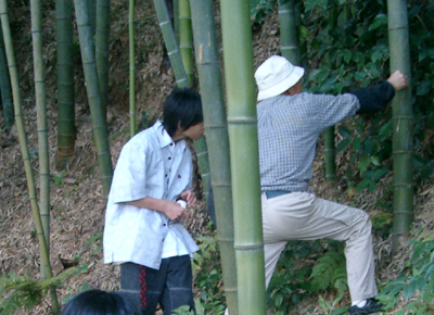竹