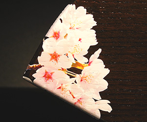 木製楯（盾）の記念品、木の楯（盾）和柄：富士山と桜